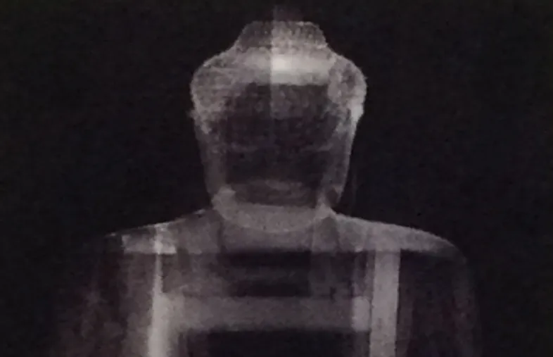 X-ray image of a sculpture showing its internal construction