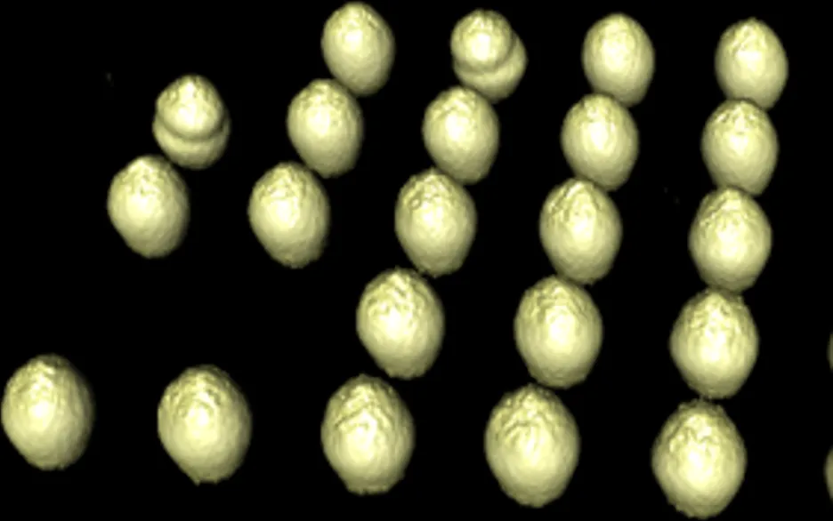 3D CT rendering of solder balls