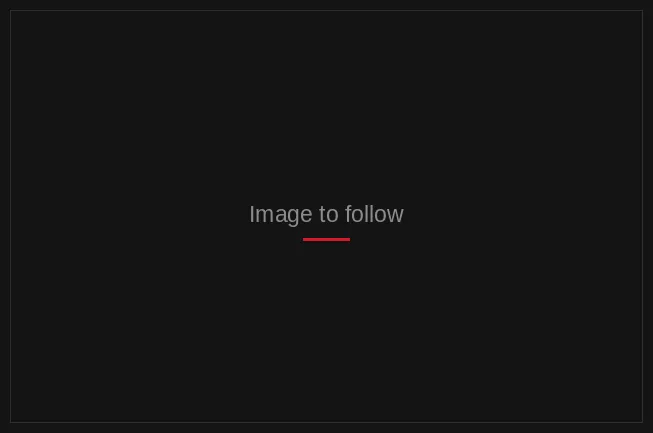Placeholder: CT slice image to follow